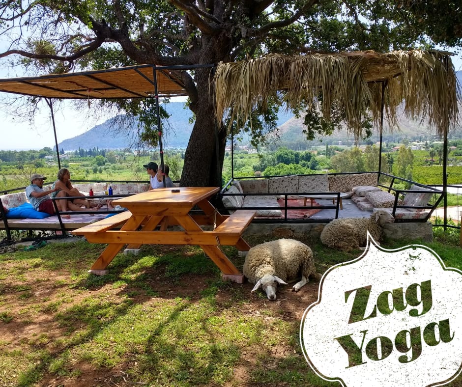 Zagyoga Turkish escape